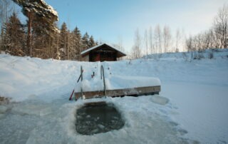 suitsusaun Jantsu talus