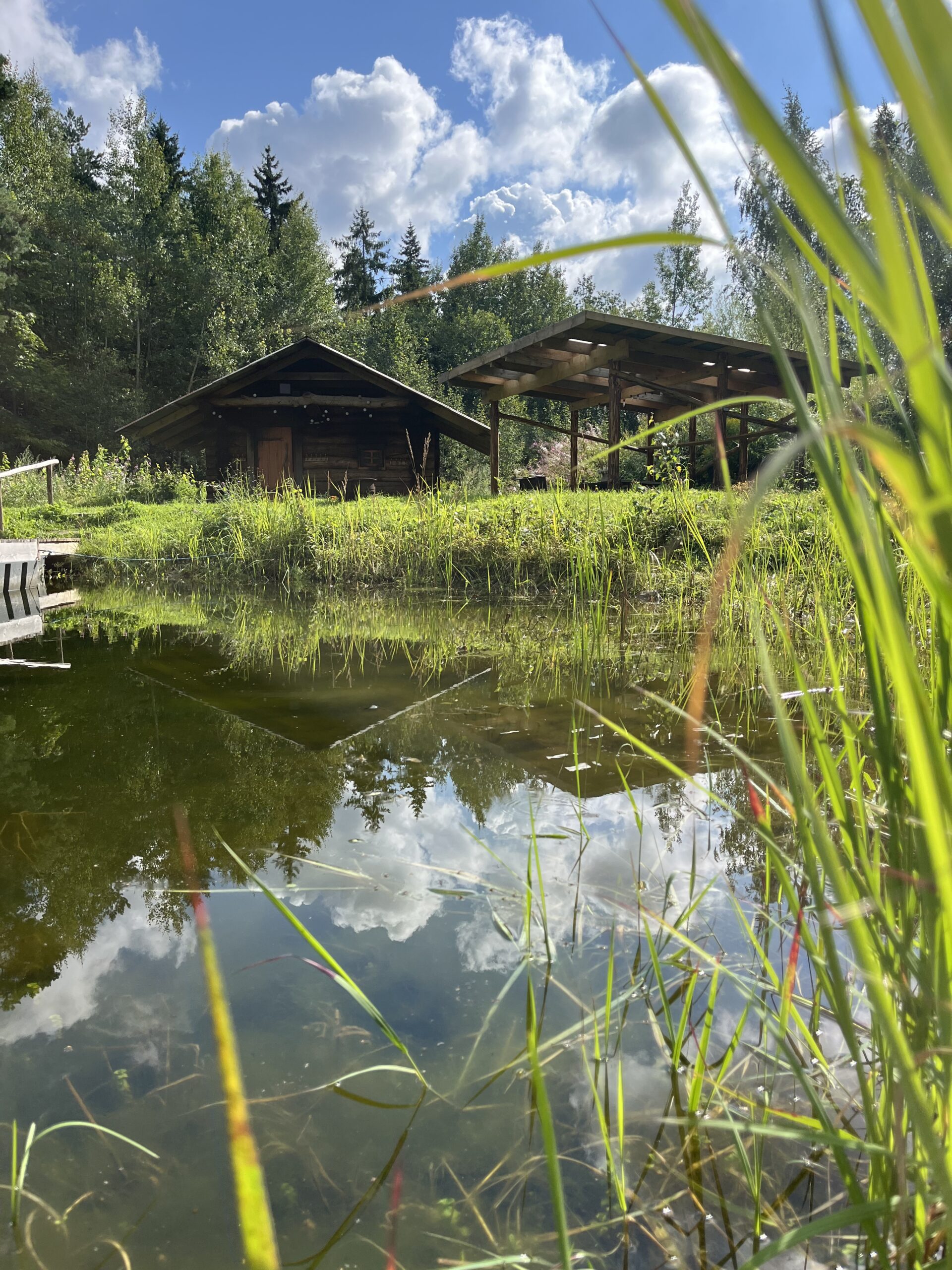 Front view of the smoke sauna in warm summer sunlight